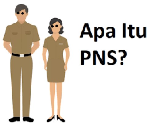 Apa itu PNS?